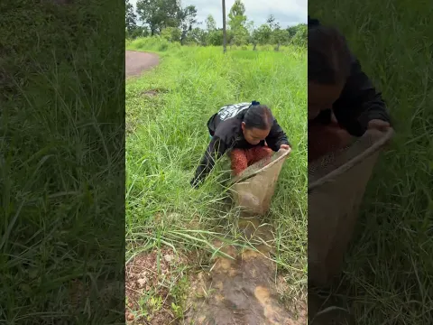 ยายนอนดักปลาตัวใหญ่อยู่ข้างทาง #funny