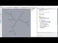 Coinam - Rhino Python
