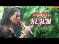 Download Lagu KEJEM - SESHIN - TARLING TERBARU 2025 - NAELA NADA LIVE DESA HARJAMUKTI TANGGAL 20 APRIL 2025