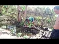 cLabing backyard fishpond