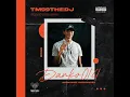 Download Lagu AMAPIANO MIX 2022 || 16 OCTOBER || TM99THEDJ_DANKO 014 #030