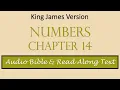 Numbers 14 KJV DRAMATIZED BIBLE WITH TEXT