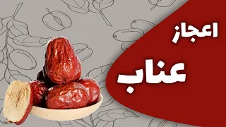 خواص عناب خشک و روش تهیه چای عناب در خانه                              دندنها