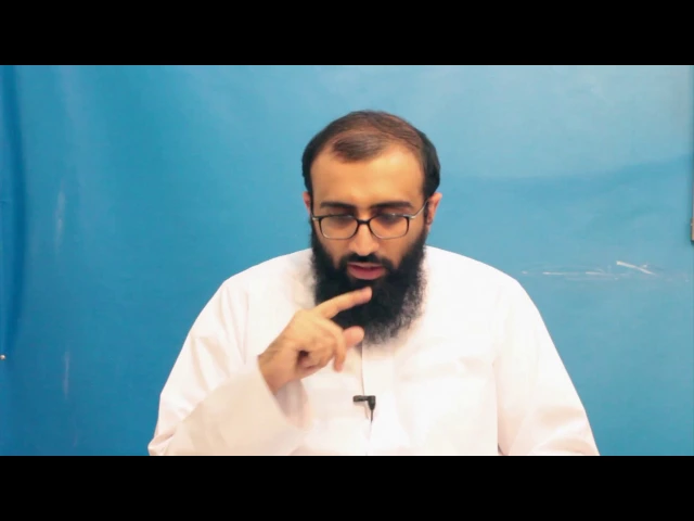 محاولة لتقديم مشروع إسلامي واقعي - السيد علي أبو الحسن