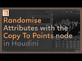 Randomise attributes with the Copy To Points Node in Houdini