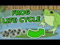 The Life Cycle of a Frog Frog Life Cycle Science for Kids