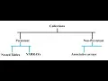 Tutorial 6 PLSQL Collections