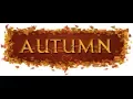 TheMBTADog MBTA Bus Fall Schedule Announcement