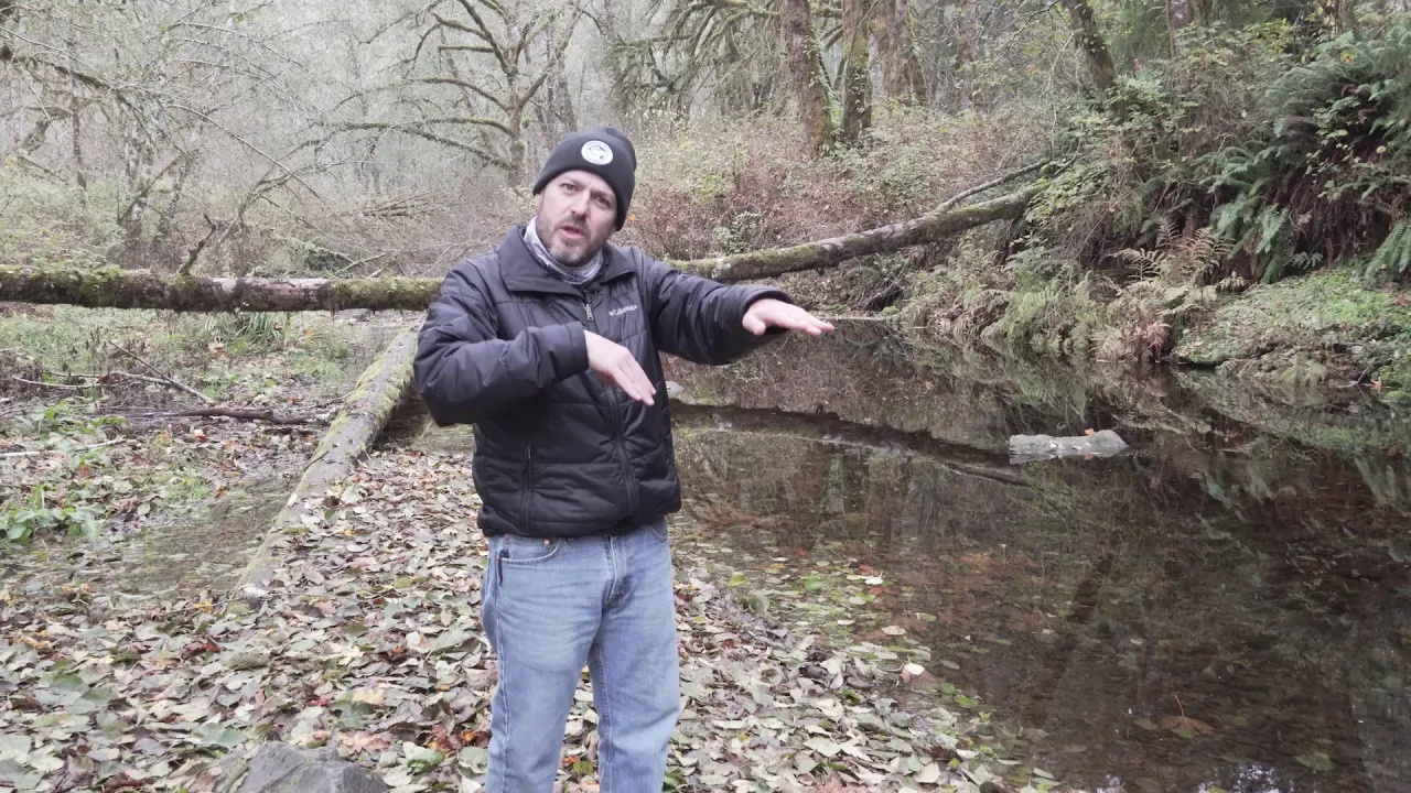 Salmon Watch 2020 Riparian