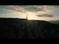 Message to Bears - Bird's Tail (Slow Meadow rework)
