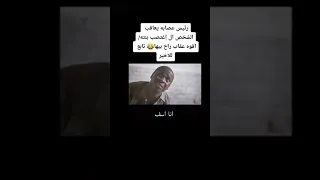 تشي تشي 