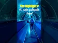 Download Lagu Kuala Lumpur River of Life|Aquaria KLCC|TRAVEL VLOG #malaysia #kualalumpur #travel #malaysiatravel
