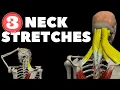 Download Lagu Neck Stretches for Instant pain relief