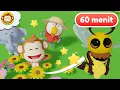 Download Lagu Lagu Anak Anak | Lebah dan Madu 🐝🍯 | BaLiTa