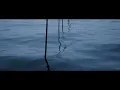 Bluet - Büşra Kayıkçı & Ah! Kosmos