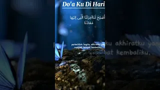 اللهم أصلح لنا ديننا الذي هو عصمت أمرنا وأصلح لنا دنيانا التي فيها معاشنا 