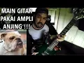 Download Lagu VIDEO KLARIFIKASI - MEMANG ANJING !!! | Main Gitar
