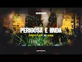 Download Lagu Perigosa e Linda Mega Funk  Feat @DJAriSL  |  DVD Incomparável - Vol. 01.