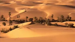 I Miss You Like The Deserts Miss The Rain 