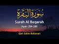 Download Lagu Surah Al-Baqarah (Ayah 284-286) | Salim Bahanan