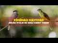 Download Lagu Jinjing Petulak Mix Brinji Rambut Tunggir | Masteran Full Tembakan 