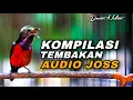 Download Lagu KOMPILASI TEMBAKAN KONIN GACOR FULL ISIAN MEWAH AUDIO JERNIH COCOK BUAT MATERI KOLIBRI NINJA LOMBA