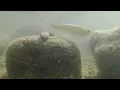 Kayaking Adventures - 8