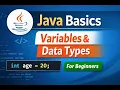 java Basics Variables Data Types Explained for Beginners