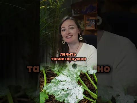 простой тест, чтобы исключить мучнистую росу
