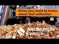 What to Know About Leaf Collection