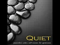 Native American Flute & Rain Sounds (Deep Sleep)