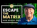 Download Lagu How to Escape the Matrix and Set Yourself Free! Don Miguel Ruiz of The Four Agreements \u0026 The Actor!