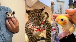 Moved to tears#lovestory #animals #rescue #love #cute #cats #parrot #wildlife #wildrescue