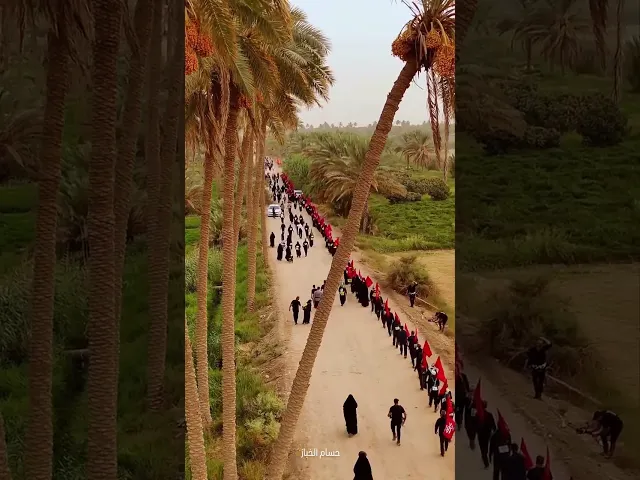 ⁣يسير العشق نحو كربلاء 🌱❤️