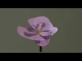 Download Lagu Orchid (Carlos Beta microtonal 10/16 beat)