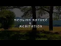 Relaxing Nature Meditation 🌳 Calming SUMMER Ambience 🌳 Healing FOREST Sounds on a Lovely Sunny Day