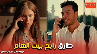 ورد على فل وياسمين   دكتور طارق في وكر الديلر    الضرب اختلف عن زمان ومفيش فيزا يا دك  دندنها