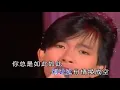 我曾用心爱着你-潘美辰