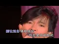 Lagu 我曾用心爱着你-潘美辰