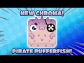The FIRST PIRATE PUFFERFISH on YOUTUBE