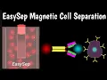 EasySep Magnetic Cell Technology  | How To Isolate Cells With EasySep Column Free Cell Separation |
