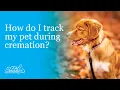 How do I track my pet during cremation