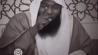 الشيخ بدر المشاري 