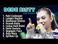 Download Lagu DEDE RISTY FULL ALBUM TERBARU 2024 ‼️Lagu  asli milik dede risty