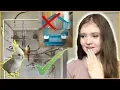 Reacting to My Subscribers Bird Cages