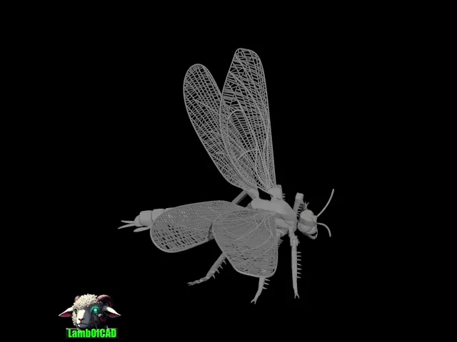 Dragonfly for Painting video thumbnail