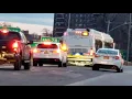 Bee Line Bus XN60 action on route 45