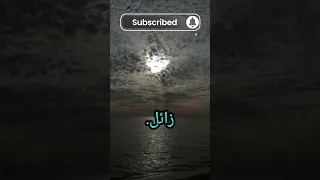 احاديث صور من حياة الصحابة 