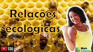 Aula sobre Relações ecológicas