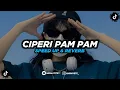 Download Lagu DJ Ciperi Pam Pam - Speed Up + Reverb 🎧